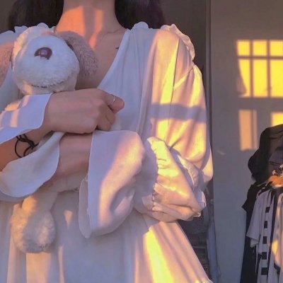 特禽鲨龙