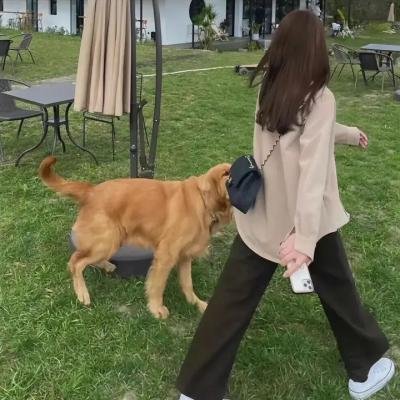 茶馆笑传